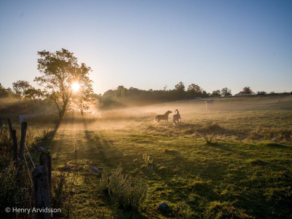 3765-040 USA NY Ephratah